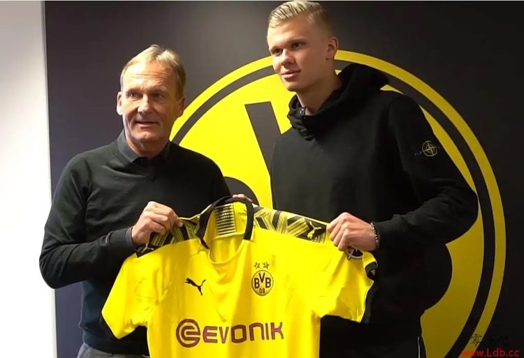 英超夺冠赔率：利物浦1.06超低赔似夺冠在即（英超争冠赔率：利物浦1.06超低，冠军近在咫尺）